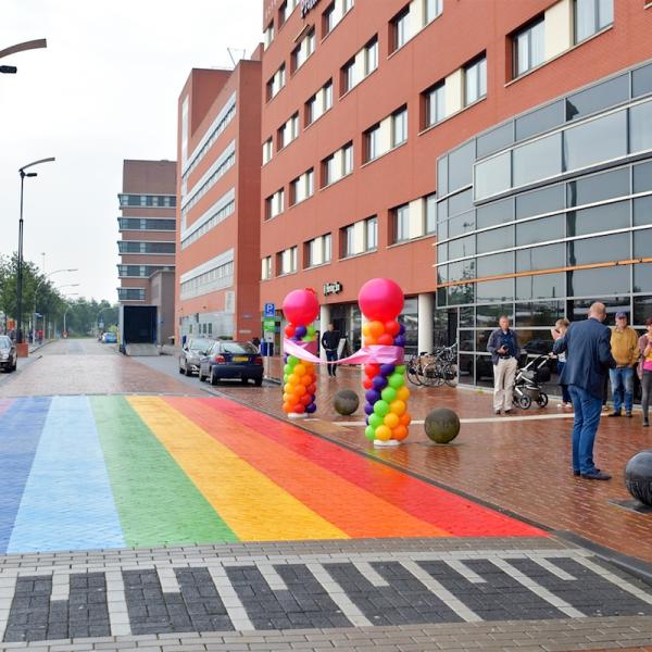 Regenboogloper in Zwolle