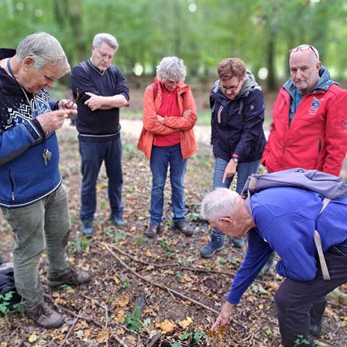 241017 Paddenstoelenexcursie 500px.jpg