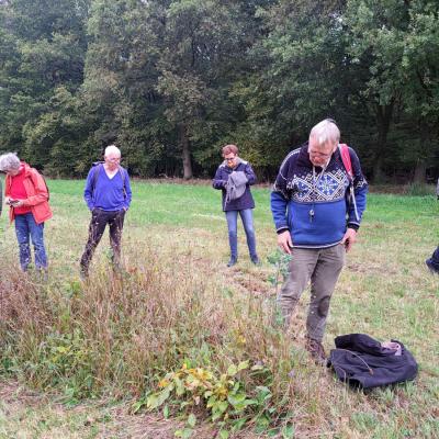 241017 Paddenstoelenexcursie013.jpg