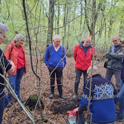 241017 Paddenstoelenexcursie015.jpg