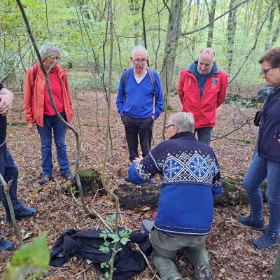 241017 Paddenstoelenexcursie016.jpg