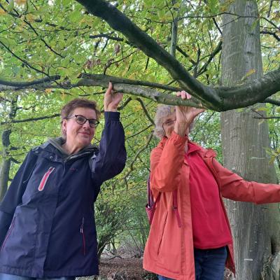 241017 Paddenstoelenexcursie019.jpg