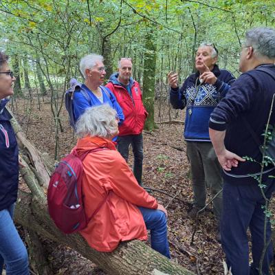 241017 Paddenstoelenexcursie025.jpg