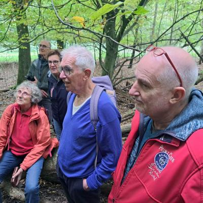 241017 Paddenstoelenexcursie026.jpg