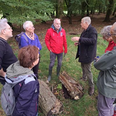 241017 Paddenstoelenexcursie030.jpg