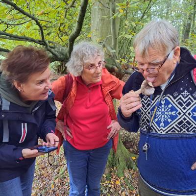 241017 Paddenstoelenexcursie031.jpg