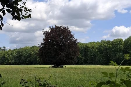 250625 Regenboogouderen naar Dalfsen 014.jpg
